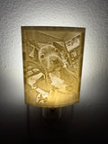 Turn Any Photo Into a Glowing Nightlight, 2 Pack